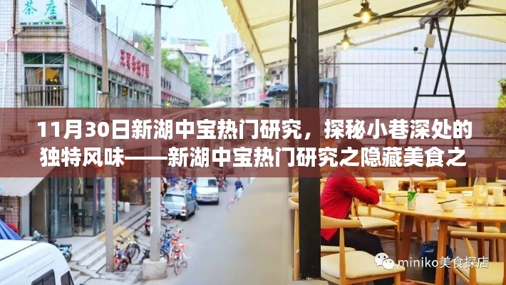 探秘新湖中寶隱藏美食,小巷深處的獨特風味之旅