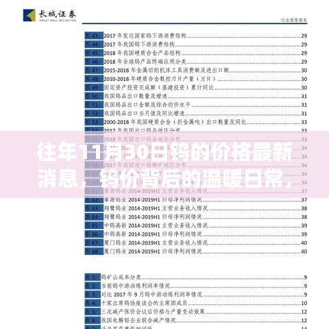 鎢價背后的秋日故事,友情與陪伴的溫暖日常