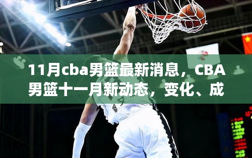 CBA男籃十一月新動態,變化、成長與自信的交響曲——最新消息與深度觀察