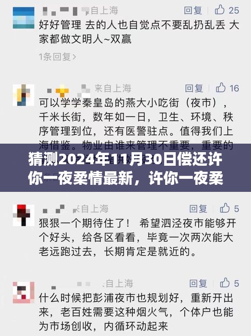 許你一夜柔情，深度評測、特性體驗(yàn)、競品對比及用戶群體分析