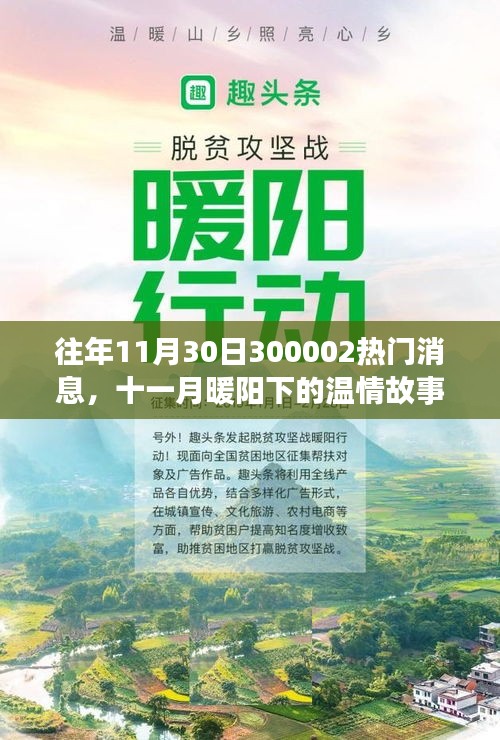 十一月暖陽下的溫情故事,揭秘300002熱門消息的溫馨日常揭秘