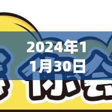 2024年11月30日印度疫情最新動態與要點分析