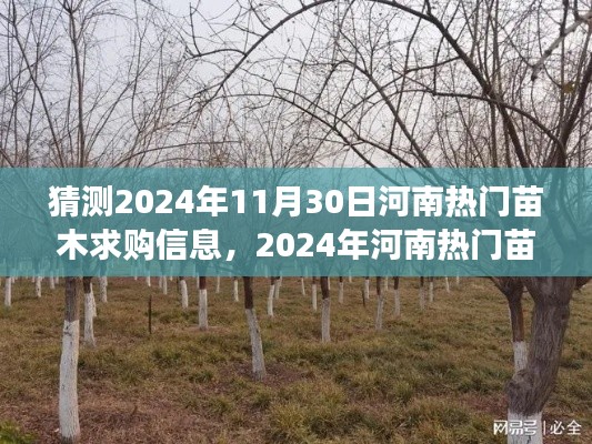 2024年河南熱門苗木求購信息預(yù)測,多方視角解讀與觀點(diǎn)碰撞,未來趨勢展望
