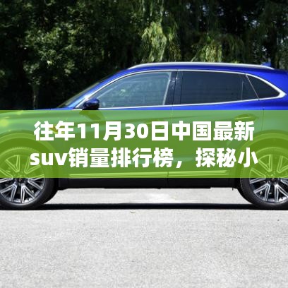揭秘隱藏寶藏,往年11月30日中國最新SUV銷量排行榜中的獨(dú)特小店探秘之旅