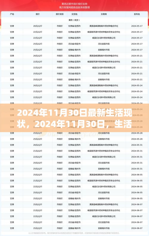 2024年11月30日生活現狀深度解析