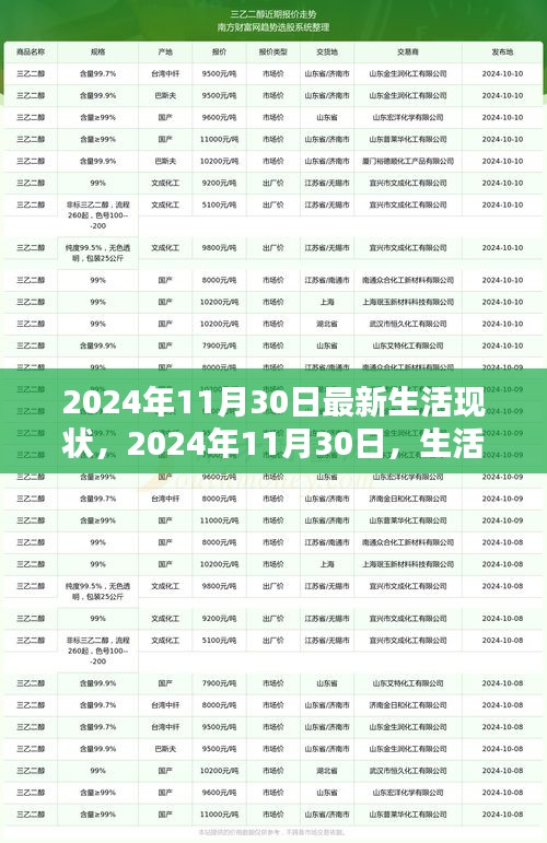 2024年11月30日生活現狀深度解析
