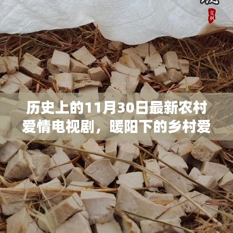 暖陽(yáng)下的鄉(xiāng)村愛情,十一月三十日的甜蜜日常