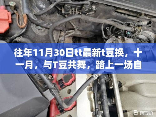 十一月與T豆共舞,自然美景的治愈之旅換T豆更新日開啟!