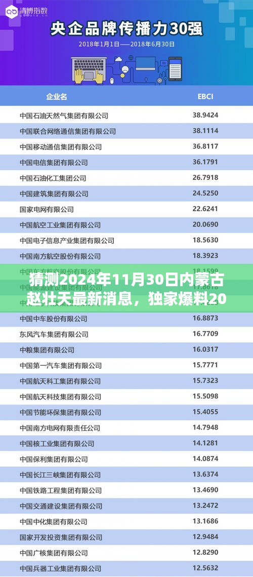 獨家爆料,趙壯天在內蒙古的最新動態揭曉,預測內蒙古趙壯天最新消息(2024年11月30日)