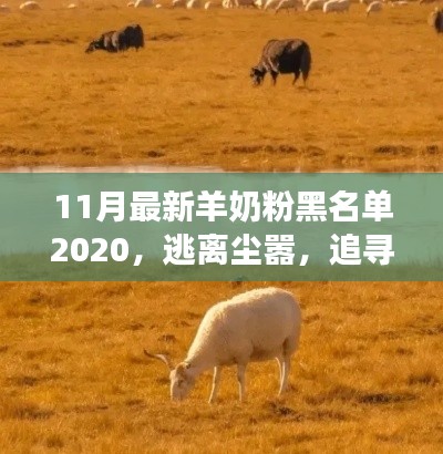 羊奶粉黑名單揭秘,追尋心靈寧靜之旅的別樣風情