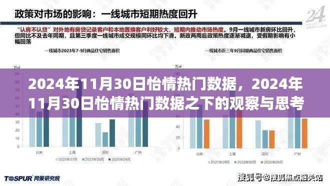 2024年11月30日怡情熱門數據深度觀察與反思