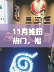 揭秘十一月雛田巷弄神秘小店,味蕾與靈魂的雙重奇遇之旅