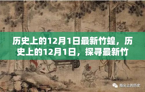 揭秘,歷史上的竹蝗秘密與探尋其神秘面紗