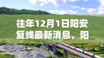 陽(yáng)安復(fù)線最新動(dòng)態(tài),陽(yáng)光下的重逢與溫馨日常