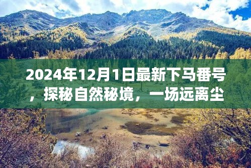 探秘自然秘境，啟程于2024年心靈之旅的冒險號角