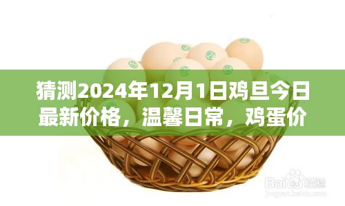 雞蛋價格之謎,探索2024年最新價格與友情的紐帶