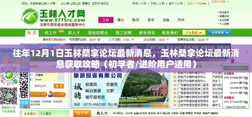 往年12月1日玉林桑拿論壇最新消息全解析,獲取攻略初學者與進階用戶必讀