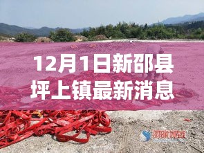 新邵縣坪上鎮(zhèn)最新動態(tài)報(bào)道,深度解析十二月一日最新消息