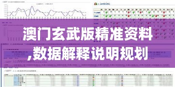 澳門玄武版精準(zhǔn)資料,數(shù)據(jù)解釋說明規(guī)劃_CTL40.551藝術(shù)版
