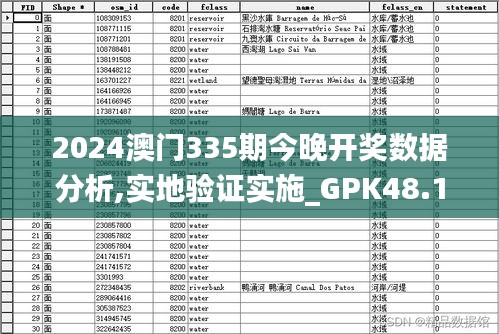 2024澳門335期今晚開獎數據分析,實地驗證實施_GPK48.117私人版