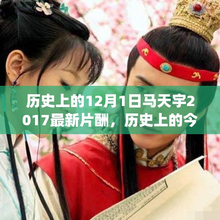 歷史上的今天,揭秘馬天宇勵志片酬之旅見證智慧與力量的蛻變