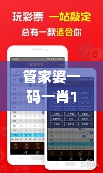 管家婆一碼一肖100準(zhǔn)335期,系統(tǒng)評估分析_DPR41.240影音體驗(yàn)版