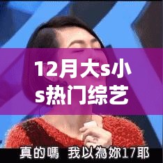 12月大S小S熱門綜藝節(jié)目聚焦,三大看點一覽