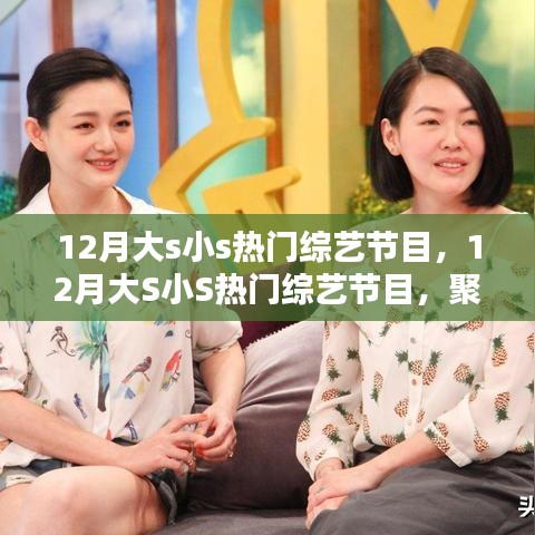 12月大S小S熱門綜藝節(jié)目聚焦,三大看點一覽