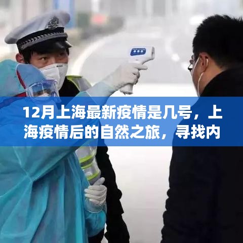 上海疫情后的自然之旅，尋找內(nèi)心的寧?kù)o與力量之旅（最新疫情動(dòng)態(tài)）