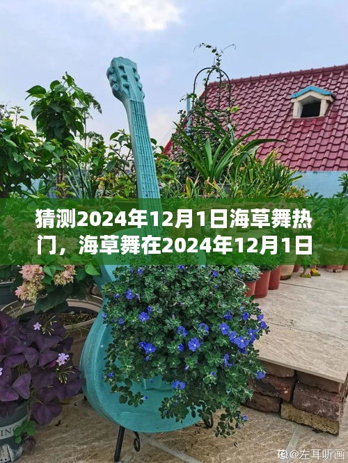 2024年12月1日海草舞流行趨勢預(yù)測,熱門舞蹈風(fēng)潮再起