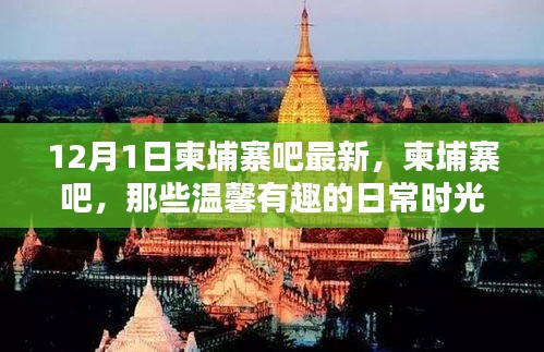 柬埔寨吧,溫馨有趣的日常時光與愛的友誼紐帶(12月1日最新更新)