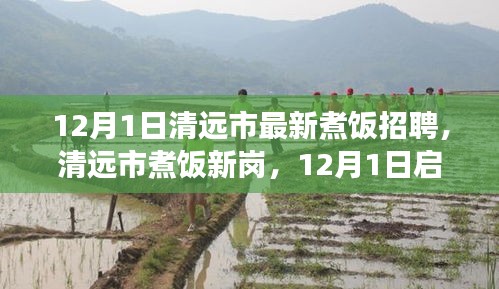 清遠市最新煮飯招聘啟航,烹飪人生成功的秘訣探尋之路
