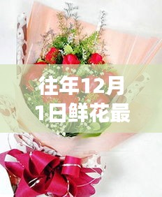 往年12月1日鮮花最新包裝圖片探析,視覺盛宴的背后利與弊