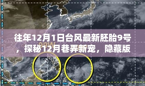 探秘隱藏版臺風胚胎9號特色小店,揭秘往年臺風最新胚胎與巷弄新寵的驚喜之旅