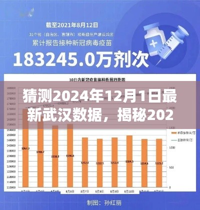 揭秘武漢未來，深度分析與預測，預測武漢最新數據至2024年12月1日揭曉！