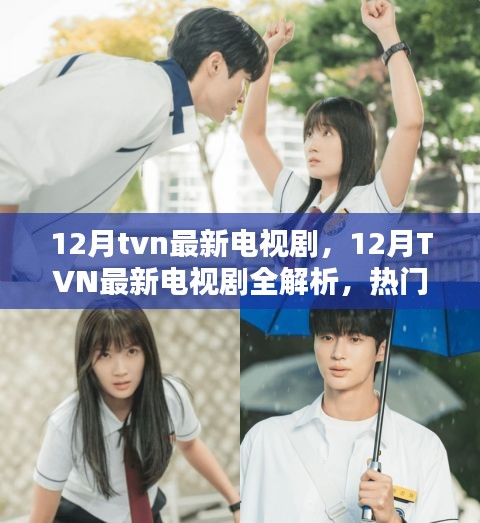 12月TVN新劇全解析,熱門新劇一網打盡