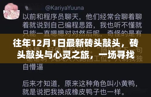 尋找內心平靜的奇妙冒險，磚頭敲頭與心靈之旅
