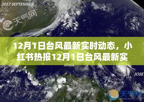 臺(tái)風(fēng)最新實(shí)時(shí)動(dòng)態(tài),小紅書熱報(bào)與全方位解讀應(yīng)對(duì)指南