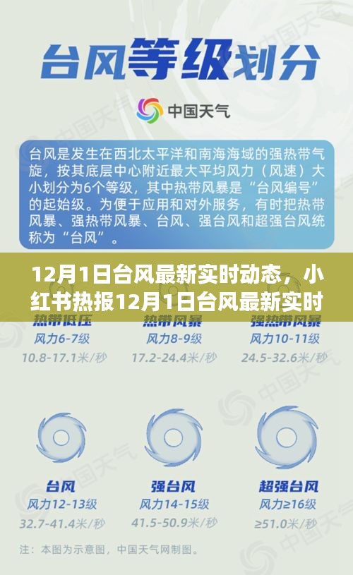 臺(tái)風(fēng)最新實(shí)時(shí)動(dòng)態(tài),小紅書熱報(bào)與全方位解讀應(yīng)對(duì)指南
