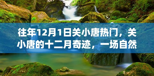 關小唐的十二月奇跡，自然美景治愈之旅，熱門話題揭秘