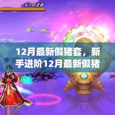 新手進(jìn)階指南,12月最新假豬套制作全攻略