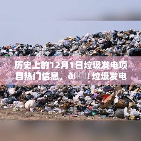 揭秘垃圾發(fā)電項目的科技魅力與最新體驗,歷史上的12月1日垃圾發(fā)電項目熱門信息回顧與前沿展望