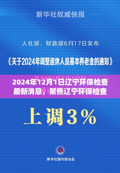 聚焦遼寧環保檢查最新動態與解讀(2024年12月版)