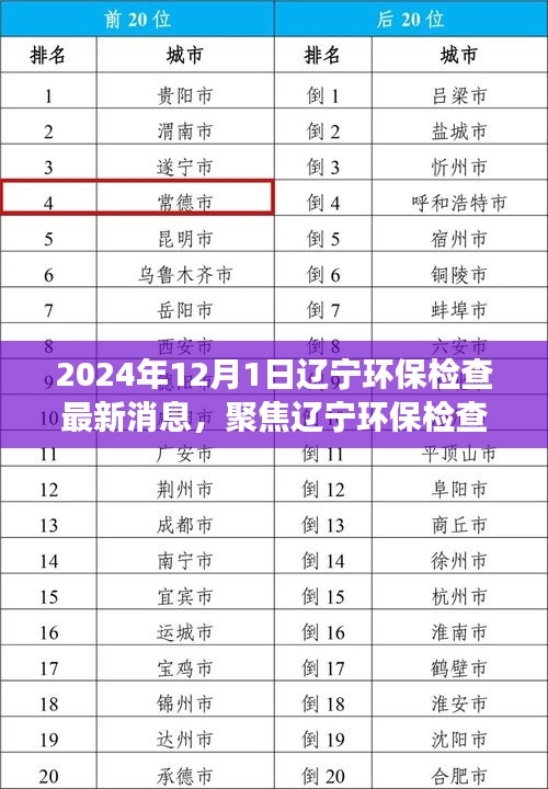 聚焦遼寧環保檢查最新動態與解讀(2024年12月版)