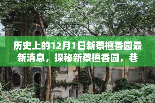 探秘新蔡檀香園,巷弄深處的獨特風情,揭秘十二月最新動態