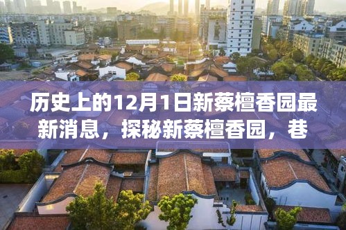 探秘新蔡檀香園,巷弄深處的獨特風情,揭秘十二月最新動態