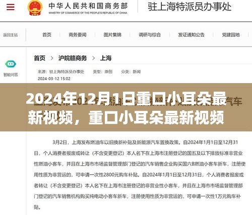 重口小耳朵最新視頻探討，內容與受眾接受度的微妙平衡揭秘（2024年）