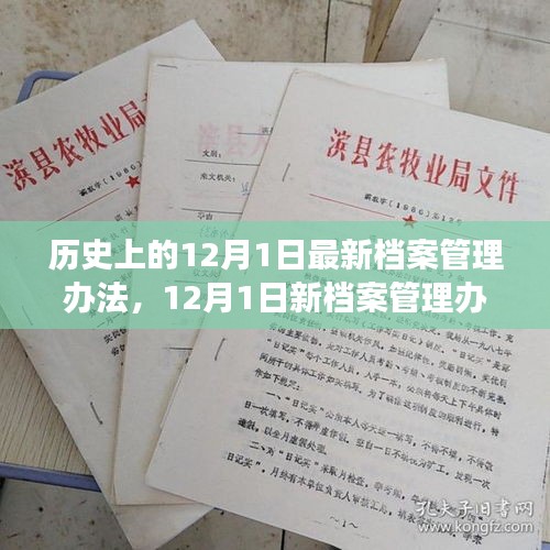 建議,新檔案管理辦法出臺,心靈與自然美景之旅啟程