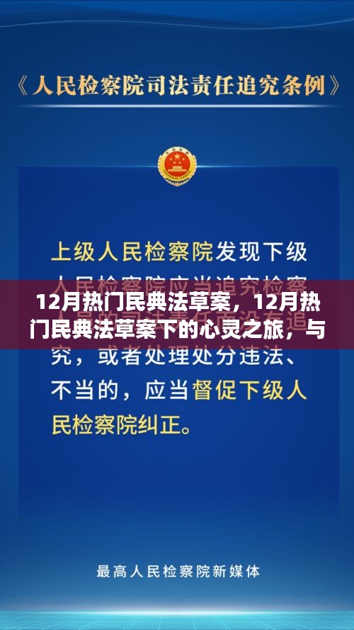 12月民典法草案下的心靈與自然之旅,探尋內(nèi)心平靜與美景共舞