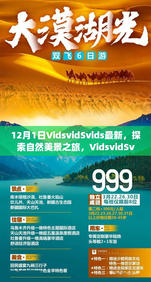 探索自然美景之旅,VidsvidSvids最新之旅,尋找內心平靜的冒險
